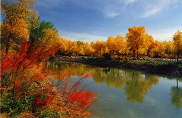 廣州到阿拉善盟物流專(zhuān)線,廣州到阿拉善盟貨運(yùn)公司